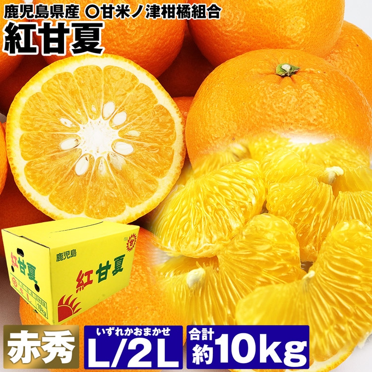 紅甘夏 夏みかん 鹿児島県産 10kg 赤秀 23～29玉程度 L/2Lおまかせ 米ノ津柑橘組合 甘夏 みかん 柑橘 フルーツ 同梱不可 指定日不可