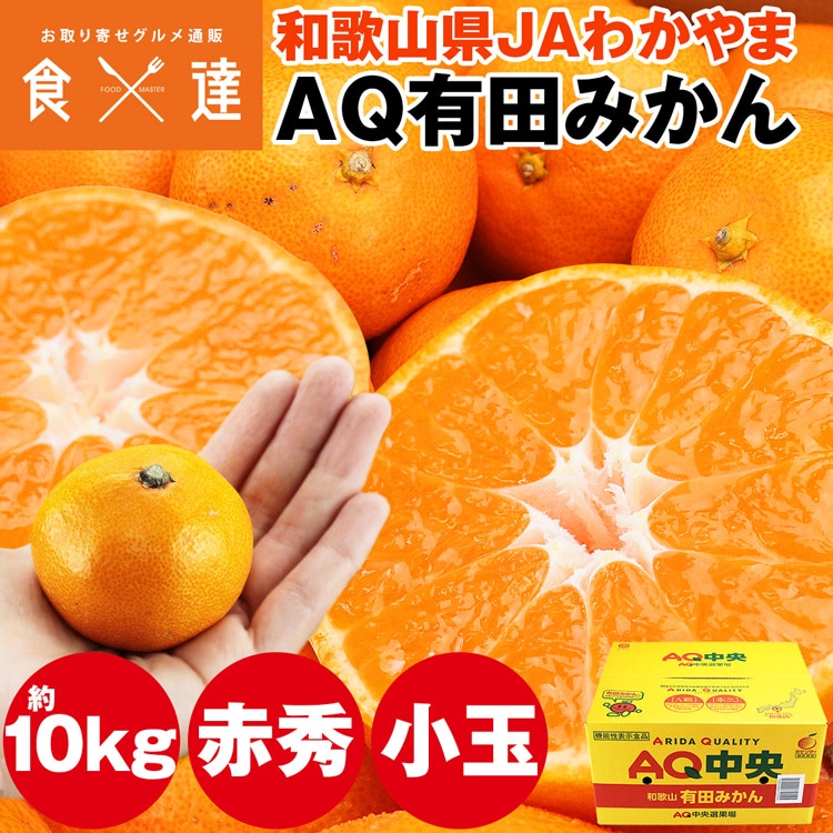 有田みかん 小玉みかん 10kg 和歌山県産 赤秀品 154~170玉程度 2Sサイズ JAわかやま 高糖度 常温便 同梱不可 指定日不可 ミカン 蜜柑