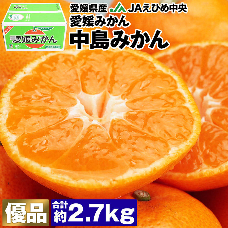 みかん 2.7kg 愛媛県産 中島みかん S/M/Lサイズ 優品 愛媛みかん JAえひめ中央 常温便 同梱不可 指定日不可 ミカン 蜜柑 柑橘