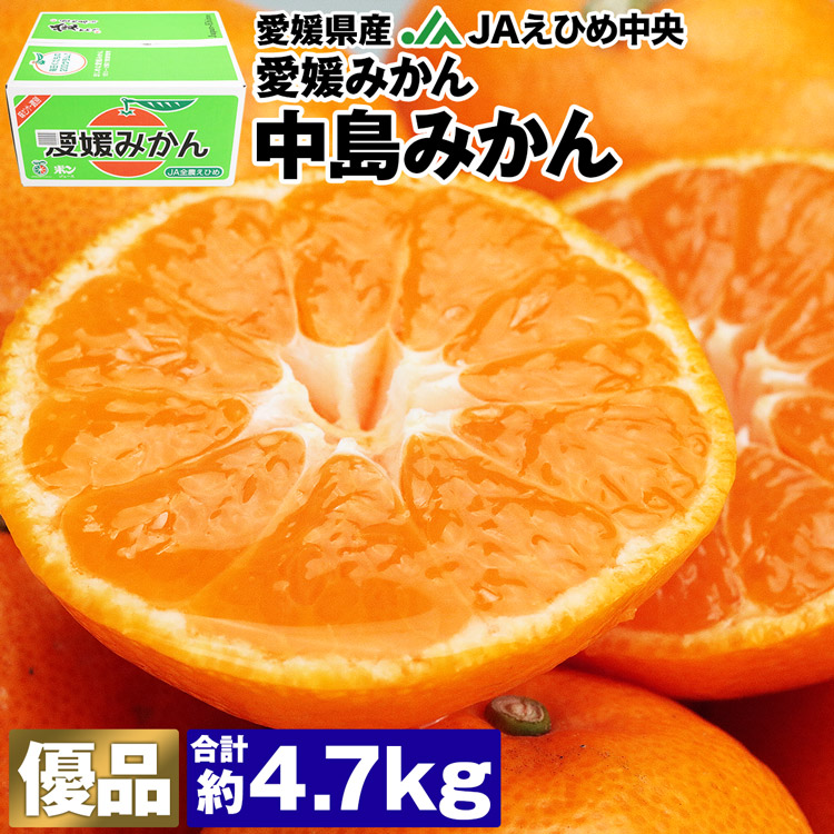 みかん 4.7kg 愛媛県産 中島みかん S/M/Lサイズ 優品 愛媛みかん JAえひめ中央 常温便 同梱不可 指定日不可 ミカン 蜜柑 柑橘