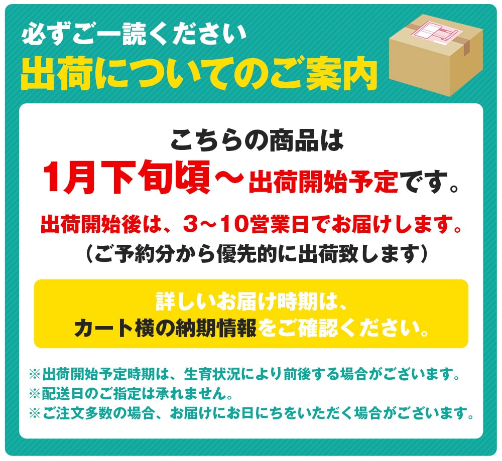 伊予柑 宮内いよかん 4.5kg 愛媛県産 JAえひめ中央 2L/Lサイズいずれかおまかせ みかん 常温便 同梱不可 指定日不可