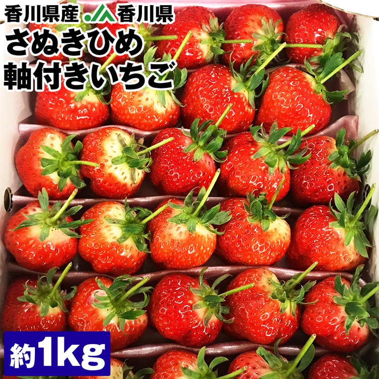 さぬきひめ いちご 1kg 香川県産 軸付き ツル付き 平箱 イチゴ 苺 さぬき姫 JA香川県 冷蔵便 同梱不可 指定日不可