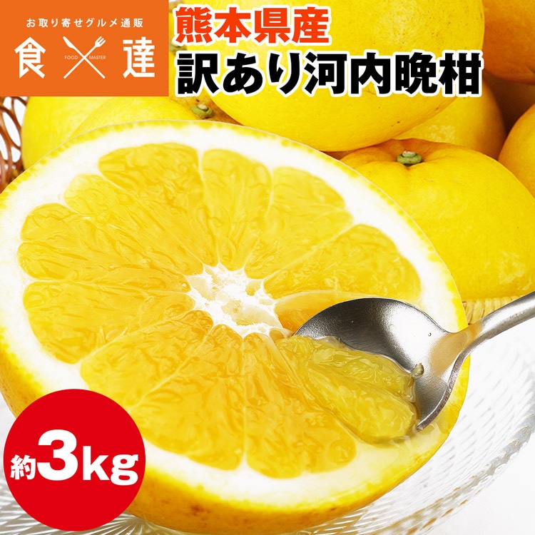 河内晩柑 訳あり 3kg 熊本県産 ジューシーオレンジ 宇和ゴールド 美生柑 冷蔵便 同梱不可 指定日不可
