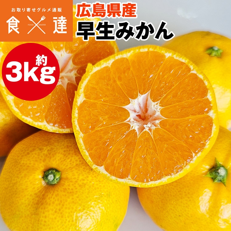 早生みかん 3kg 広島県産 温州みかん ミカン 蜜柑 柑橘 産直 常温便 同梱不可 指定日不可