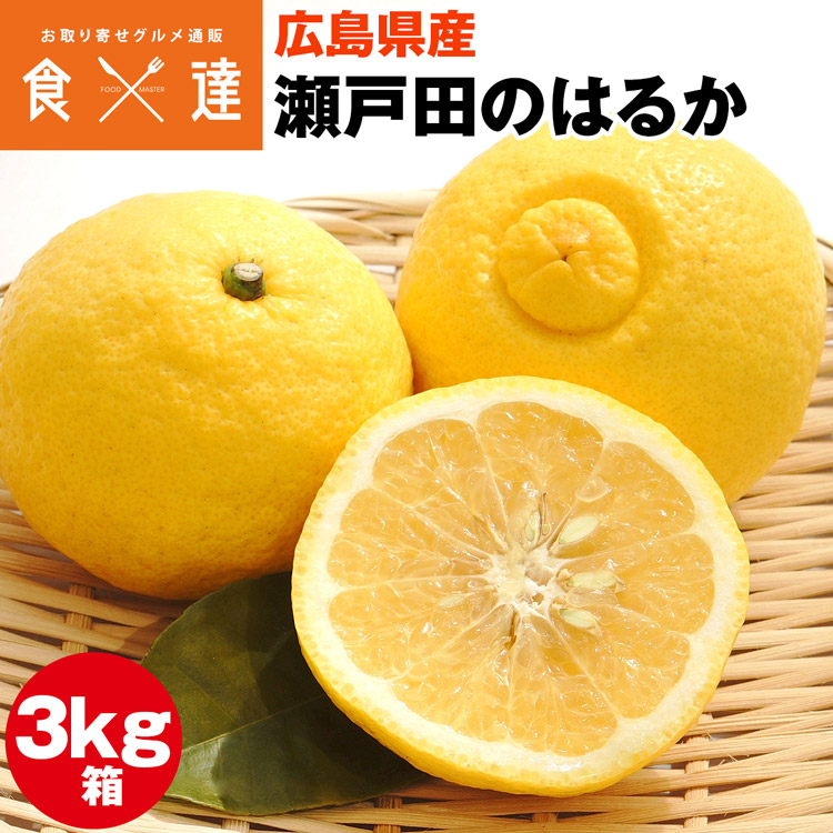 はるか 3kg 広島県産 瀬戸田 みかん 柑橘 産直 同梱不可 指定日不可