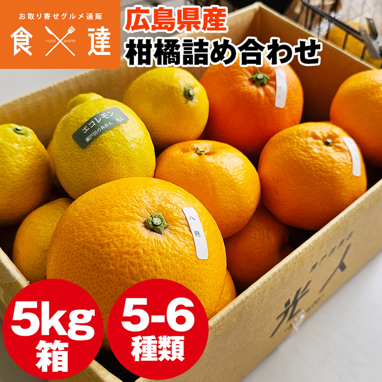 柑橘おまかせセット 5kg 5ー6種入り 広島県産 瀬戸田 みかん 柑橘 産直 同梱不可 指定日不可