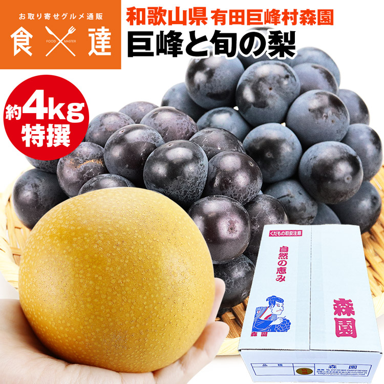 巨峰 梨 詰め合わせ セット 旬 特選 4kg 和歌山県産 種有り 皇室献上 高品質 森園 化粧箱 産直 産地直送 冷蔵便 同梱不可 指定日不可
