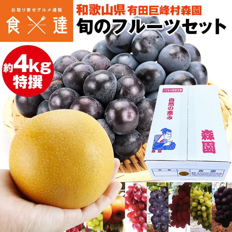 フルーツ 詰め合わせ 巨峰 梨 セット 旬 特選 4kg 和歌山県産 皇室献上 高品質 森園 化粧箱 産直 産地直送 冷蔵便 同梱不可 指定日不可