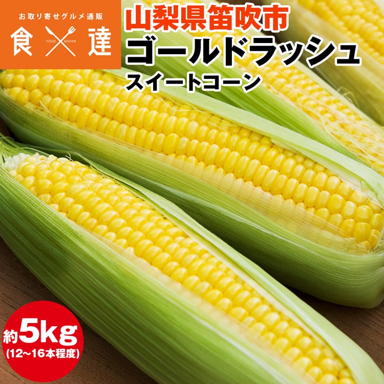 とうもろこし 5kg 山梨県産 ゴールドラッシュ スイートコーン 朝採り トウモロコシ 産直 冷蔵便 同梱不可 指定日不可