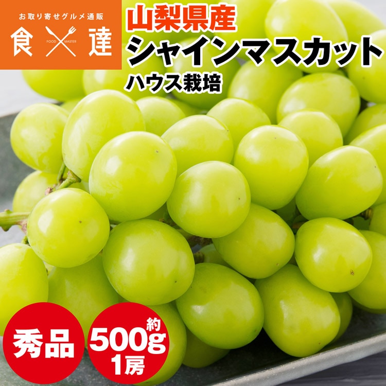 シャインマスカット 500g 1房 山梨県産 ハウス栽培 種無し ぶどう 葡萄 ブドウ マスカット 常温便 同梱不可 指定日不可 産直