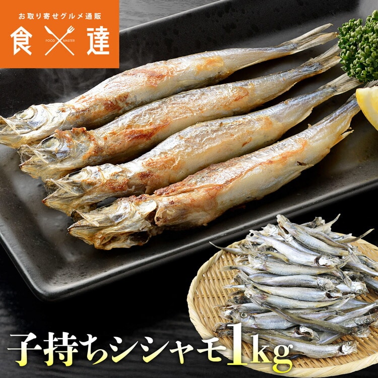 訳あり 子持ち ししゃも からふと シシャモ 1kg 約80-120尾 卵 カラフト