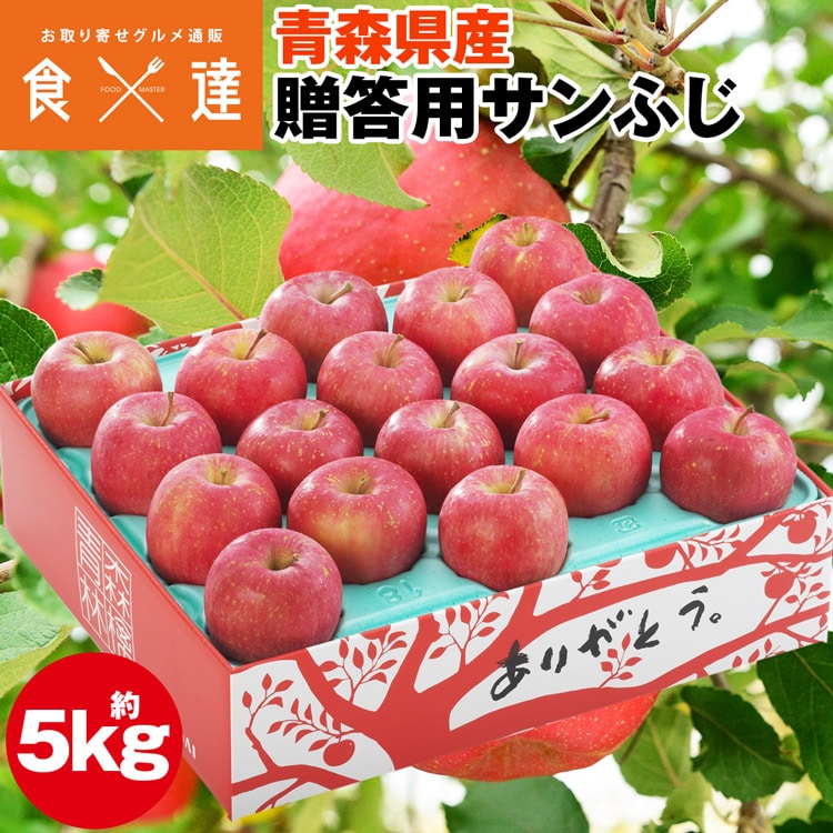 サンふじ 5kg 青森県産 贈答用 りんご 16~18玉 林檎 リンゴ ふじりんご フルーツ 果物 指定日不可 同梱不可 産直