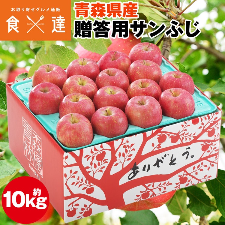 サンふじ 10kg 青森県産 贈答用 りんご 32~36玉 林檎 リンゴ ふじりんご フルーツ 果物 指定日不可 同梱不可 産直
