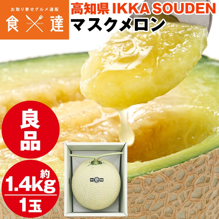 マスクメロン ギフト 高級 1玉 1.4kg 良品 産地直送 高知県産 贈答用 産直 常温便 同梱不可 指定日不可