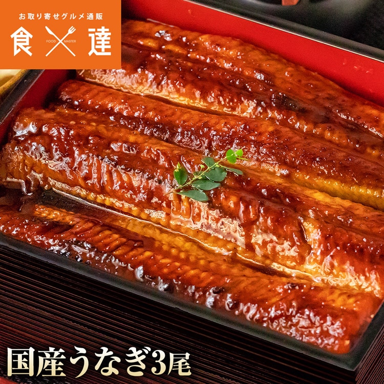 国産うなぎ 約150g ×3