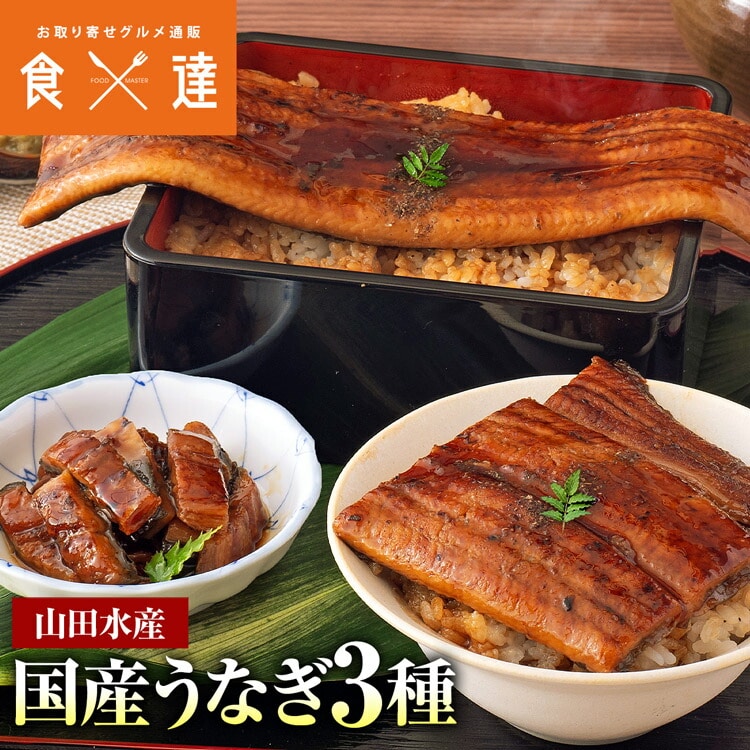 うなぎ 鹿児島県産 3種セット 長焼き 刻み カット 食べ比べ 合計320g 鰻 ウナギ 国産 無投薬