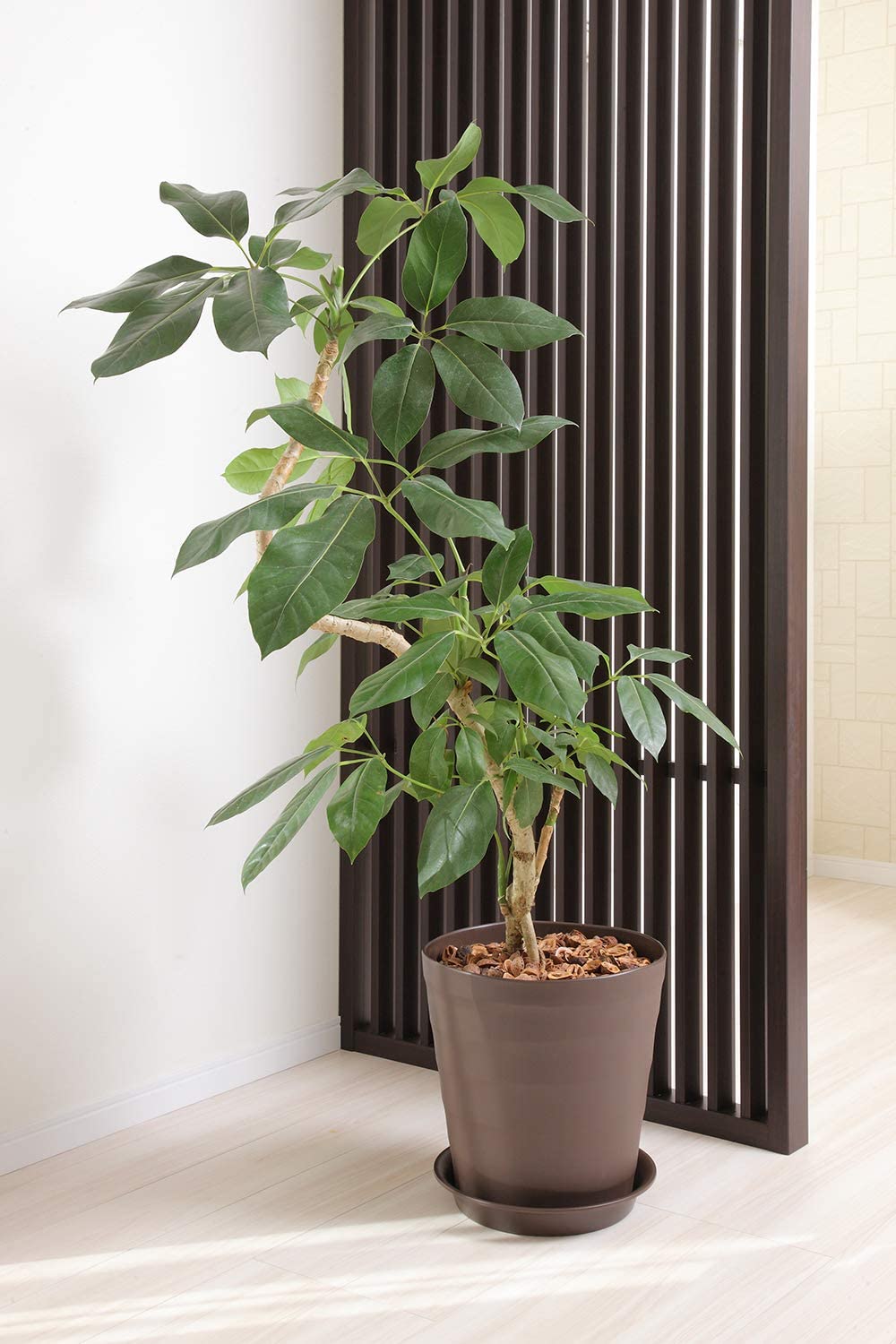 アップルウェアー クラフトポット４０型ダークブラウン  DBR ダークブラウン 4905980133082 園芸用品 ガーデニング用品 植木鉢 プランター