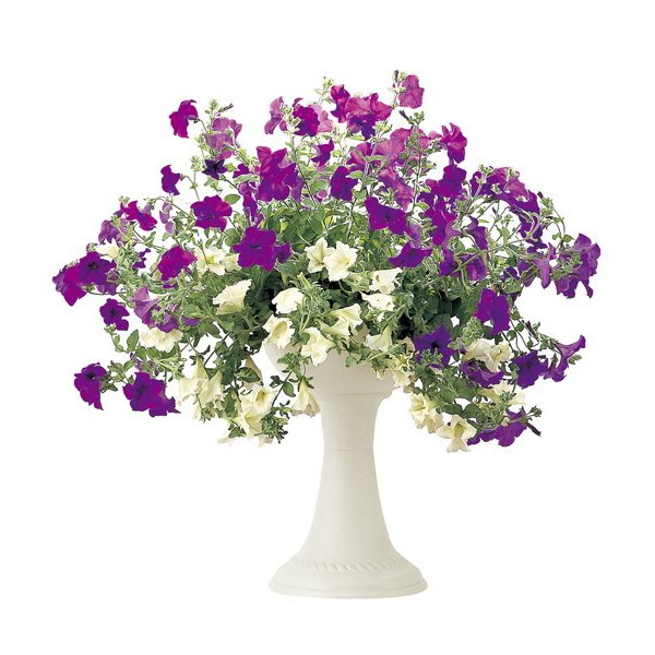 リッチェル  ハナールハイスタンドカップ３３型    IV  4973655721513 園芸用品  ガーデニング用品 植木鉢 鉢