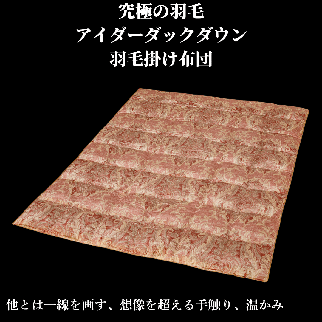究極の羽毛 アイダーダックダウン羽毛掛けふとん ロマネスク