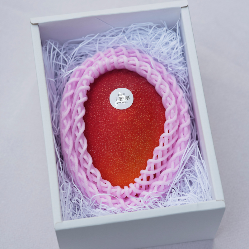 マンゴー 白銀の太陽 糖度11度以上<選べるサイズ・入り数>Mサイズ~4Lサイズ 【2025年10月末より発送開始予定】 4L×2玉