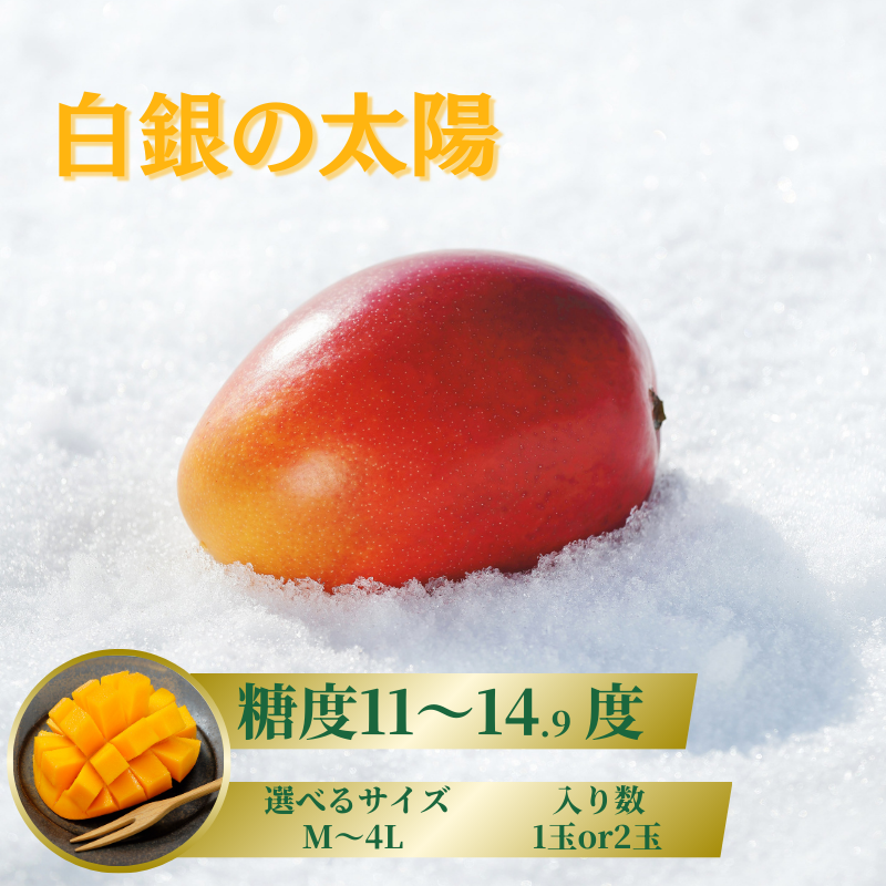 マンゴー 白銀の太陽 糖度11度以上<選べるサイズ・入り数>Mサイズ~4Lサイズ 【2025年10月末より発送開始予定】