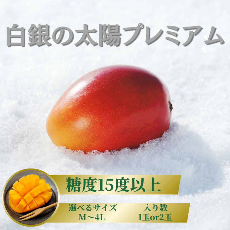 マンゴー 白銀の太陽プレミアム 糖度15度以上<選べるサイズ・入り数>Mサイズ~4Lサイズ 【2025年10月末より発送開始予定】