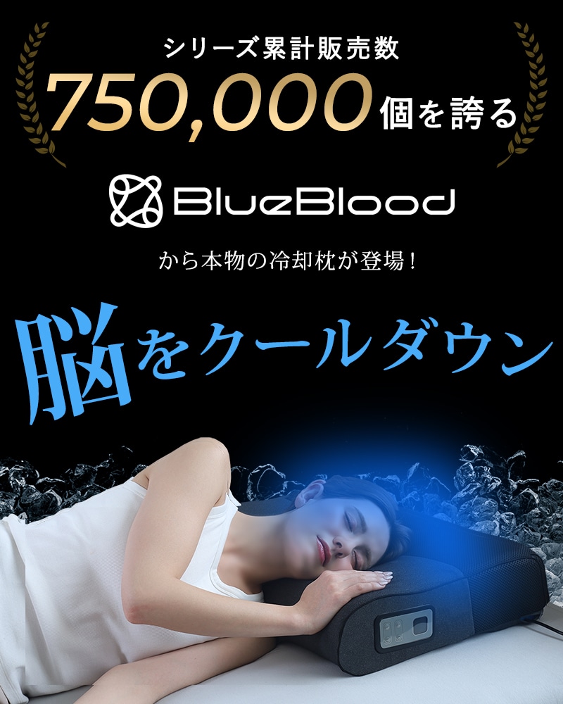 枕 まくら サイバーチルピロー CyberChillPillow ひんやり 温熱シート付き