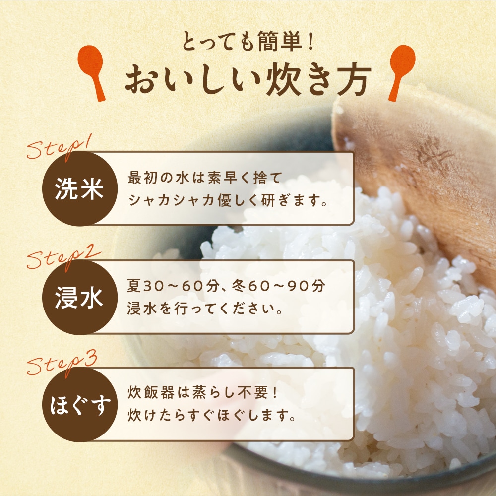 最短11月26日出荷! 松屋 公式 新米 令和7年度産 国産ブレンド米 5kg ×1袋 茨城県産 100% お米 米 こめ コメ 白米 精米 国産 まつや 食品 グルメ 送料無料 業務用 お試し 食事 保存食 非常食 ブラックフライデー 米 5kg