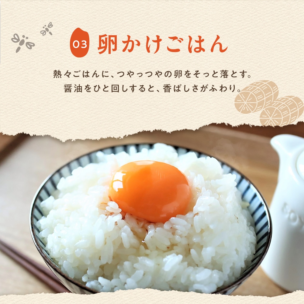 最短11月26日出荷! 松屋 公式 新米 令和7年度産 国産ブレンド米 5kg ×1袋 茨城県産 100% お米 米 こめ コメ 白米 精米 国産 まつや 食品 グルメ 送料無料 業務用 お試し 食事 保存食 非常食 ブラックフライデー 米 5kg