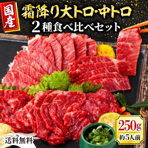 馬刺し 熊本 国産 極上霜降り2種食べ比べセット 約5人前 250g 中トロ 大トロ お歳暮 御歳暮 冬ギフト