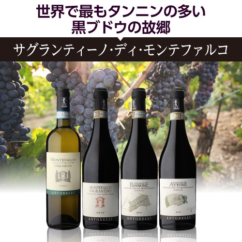 キューザ ディ パンノーネ モンテファルコ サグランティーノ 2019 アントネッリ 750ml イタリア ウンブリア 辛口 オーガニック ビオ 赤ワイン 浜運【送料無料】