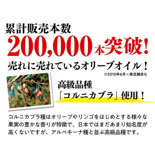 【20%OFF 12/7まで】スペイン産 オリーブオイル エキストラバージン 1000ml 6本 EX EXVオリーブオイル ブエンエスパシオ 長S【送料無料】