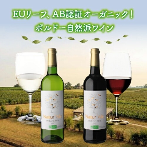 白ワイン ナチュール エール ボルドー ブラン 750ml 12本入 フランス ワイン ビオ BIO オーガニックワイン ソーヴィニヨン ケース 浜運 【送料無料】