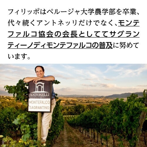 モリーノ デッラットーネ モンテファルコ サグランティーノ 2016 or 2019 アントネッリ 750ml イタリア ウンブリア 辛口 オーガニック ビオ 赤ワイン 浜運【送料無料】