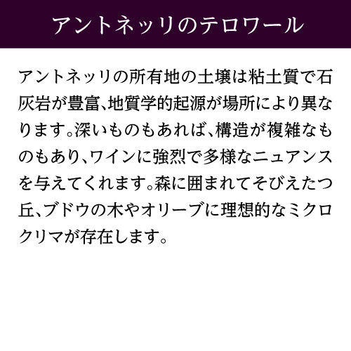キューザ ディ パンノーネ モンテファルコ サグランティーノ 2019 アントネッリ 750ml イタリア ウンブリア 辛口 オーガニック ビオ 赤ワイン 浜運【送料無料】
