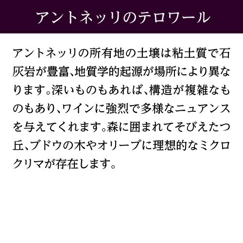 モリーノ デッラットーネ モンテファルコ サグランティーノ 2016 or 2019 アントネッリ 750ml イタリア ウンブリア 辛口 オーガニック ビオ 赤ワイン 浜運【送料無料】