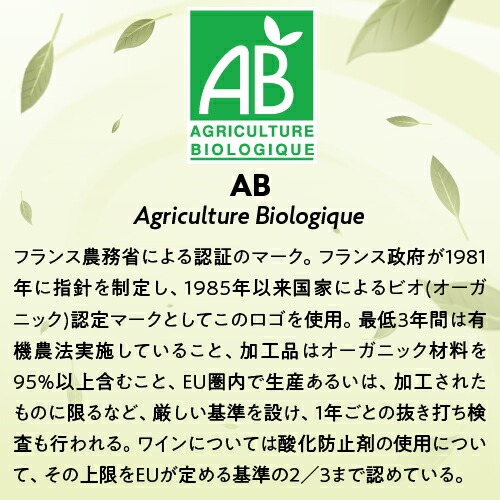 白ワイン ナチュール エール ボルドー ブラン 750ml 12本入 フランス ワイン ビオ BIO オーガニックワイン ソーヴィニヨン ケース 浜運 【送料無料】