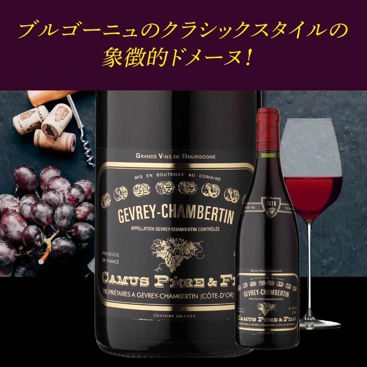 ワインセット ジュヴレ シャンベルタン 750ml 2本入 浜運【送料無料