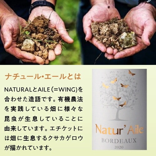 白ワイン ナチュール エール ボルドー ブラン 750ml 12本入 フランス ワイン ビオ BIO オーガニックワイン ソーヴィニヨン ケース 浜運 【送料無料】