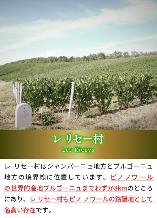 【ケース販売】 ドメーヌ アレクサンドル ボネ ブラン ド ノワール エクストラ ブリュット 750ml 6本入 コート デ バール シャンパン 辛口 ケース 浜運 敬老の日 ギフト【送料無料】