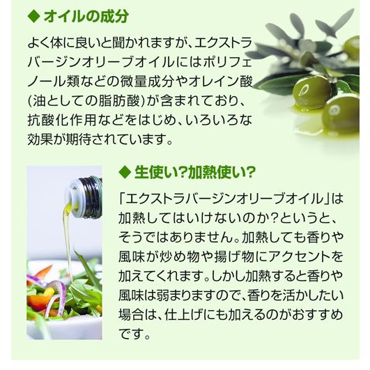 【20%OFF 12/7まで】スペイン産 オリーブオイル エキストラバージン 1000ml 12本 EX EXVオリーブオイル ブエンエスパシオ 長S【送料無料】