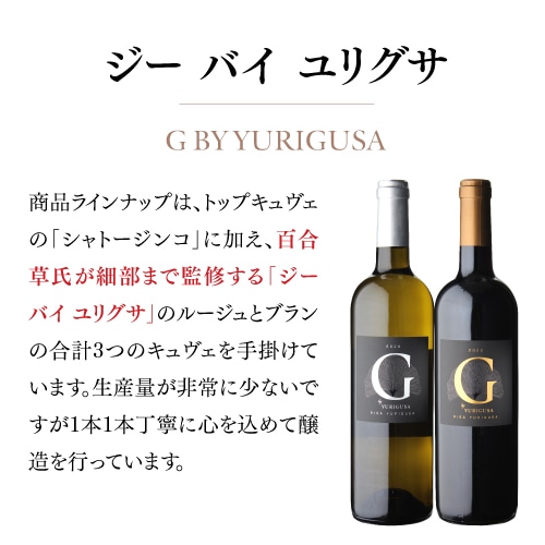 赤ワイン シャトー ジンコ 2020 カスティヨン コート ド ボルドー 750ml フランス 浜運 【送料無料】