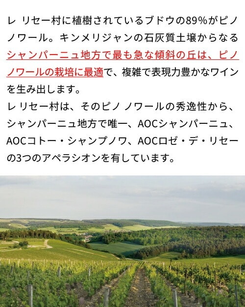 【ケース販売】 ドメーヌ アレクサンドル ボネ ブラン ド ノワール エクストラ ブリュット 750ml 6本入 コート デ バール シャンパン 辛口 ケース 浜運 敬老の日 ギフト【送料無料】