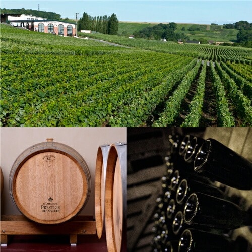 プレスティージュ デ サクレ ブリュット ナチュール 750ml モンターニュ ド ランス ジャンヴリー ドサージュ ゼロ シャンパン 辛口 シャンパーニュ 浜運【送料無料】