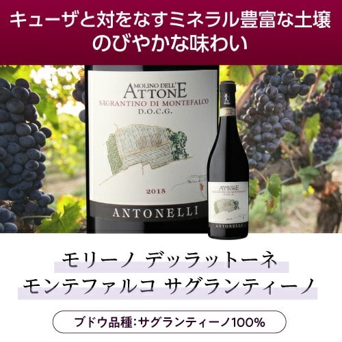 モリーノ デッラットーネ モンテファルコ サグランティーノ 2016 or 2019 アントネッリ 750ml イタリア ウンブリア 辛口 オーガニック ビオ 赤ワイン 浜運【送料無料】