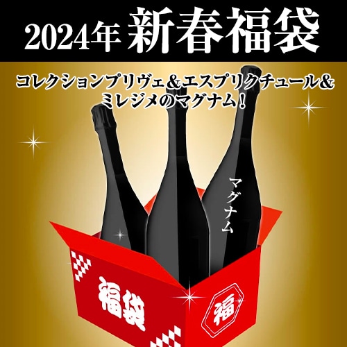 コレ 3本 5.5万円(税込)福袋 シャンパーニュ3本入り ワイン福袋 シャンパン 浜運