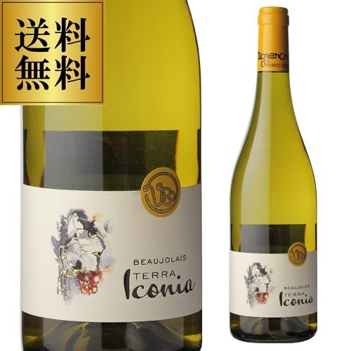 白ワイン ボジョレー ブラン テッラ アイコニア 2022 ピエール ドレ 750ml フランス ブルゴーニュ ボジョレー 浜運【送料無料】