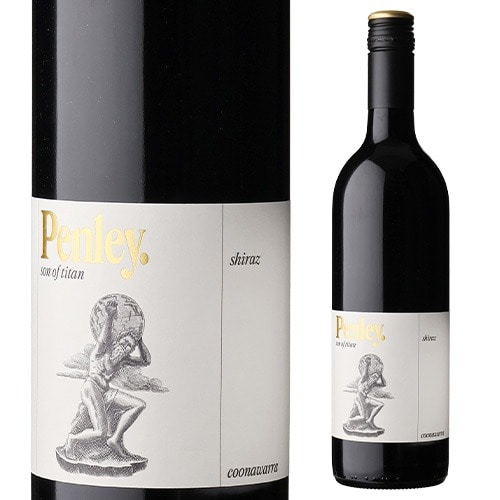 タイタン シラーズ 2021 ペンリーエステート 750ml 12本入 オーストラリア 赤ワイン 辛口 ケース 浜運【送料無料】