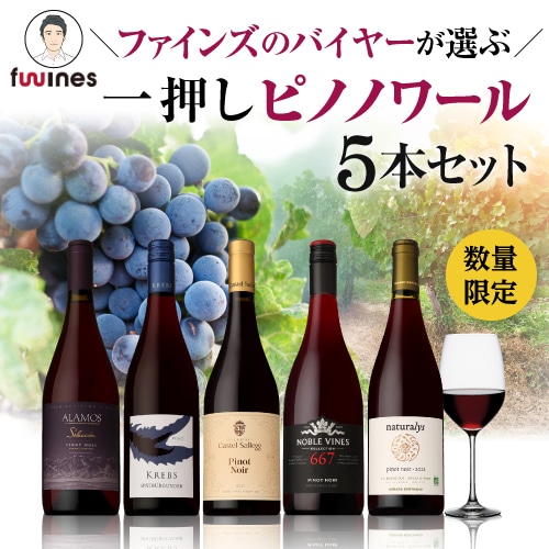 【10%OFF 12/7まで】一押しピノノワール赤5本セット 750ml 浜運