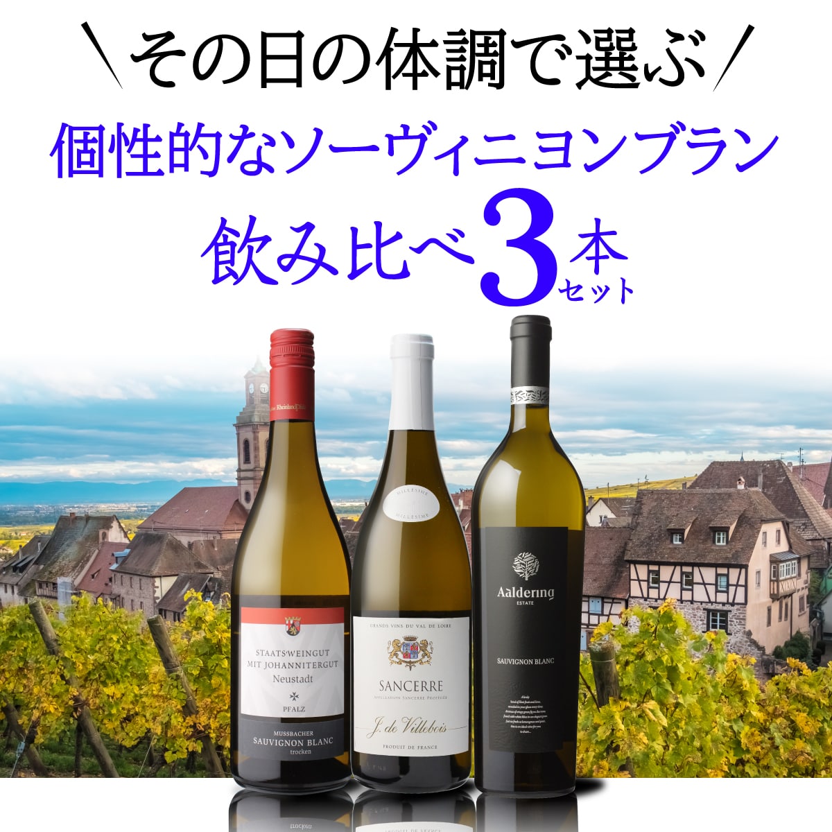 【20%OFF 12/7まで】その日の体調で選ぶ！ 個性豊かな ソーヴィニヨン ブラン 3本セット 750ml 3本入【送料無料】浜運